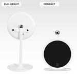 Lash Mirror