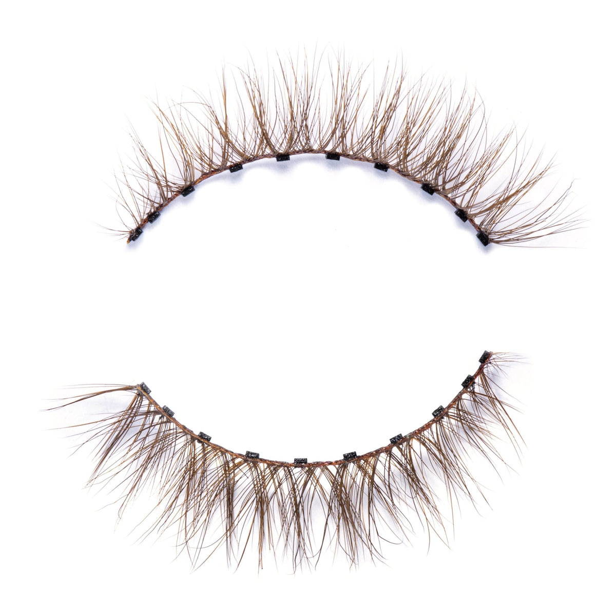 Truffle Lash